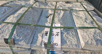 崇左芝麻白蘑菇石，自然面